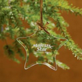 Star Jade Glass Ornament